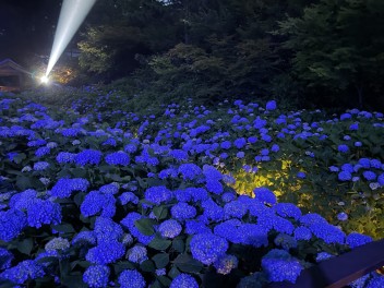 進藤のオススメ(*´ω｀)